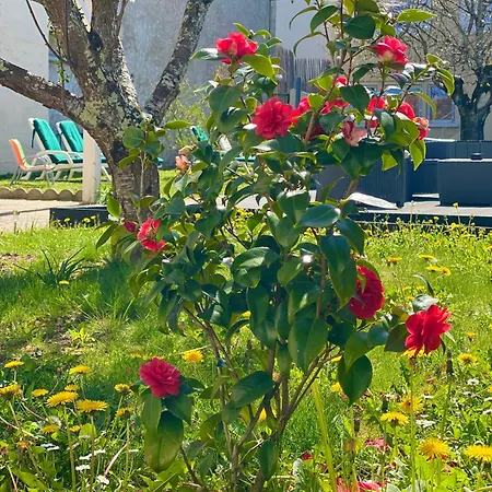 La Grande Escapade Ideal Familles, Piscine, Netflix Coulounieix-Chamiers